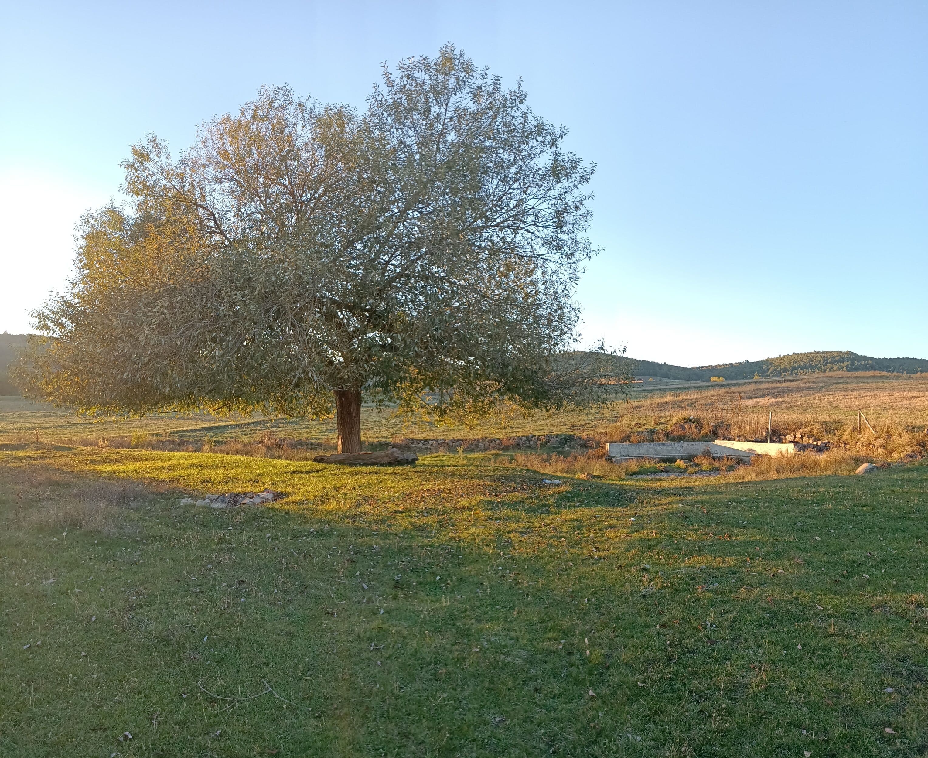 Küfrü