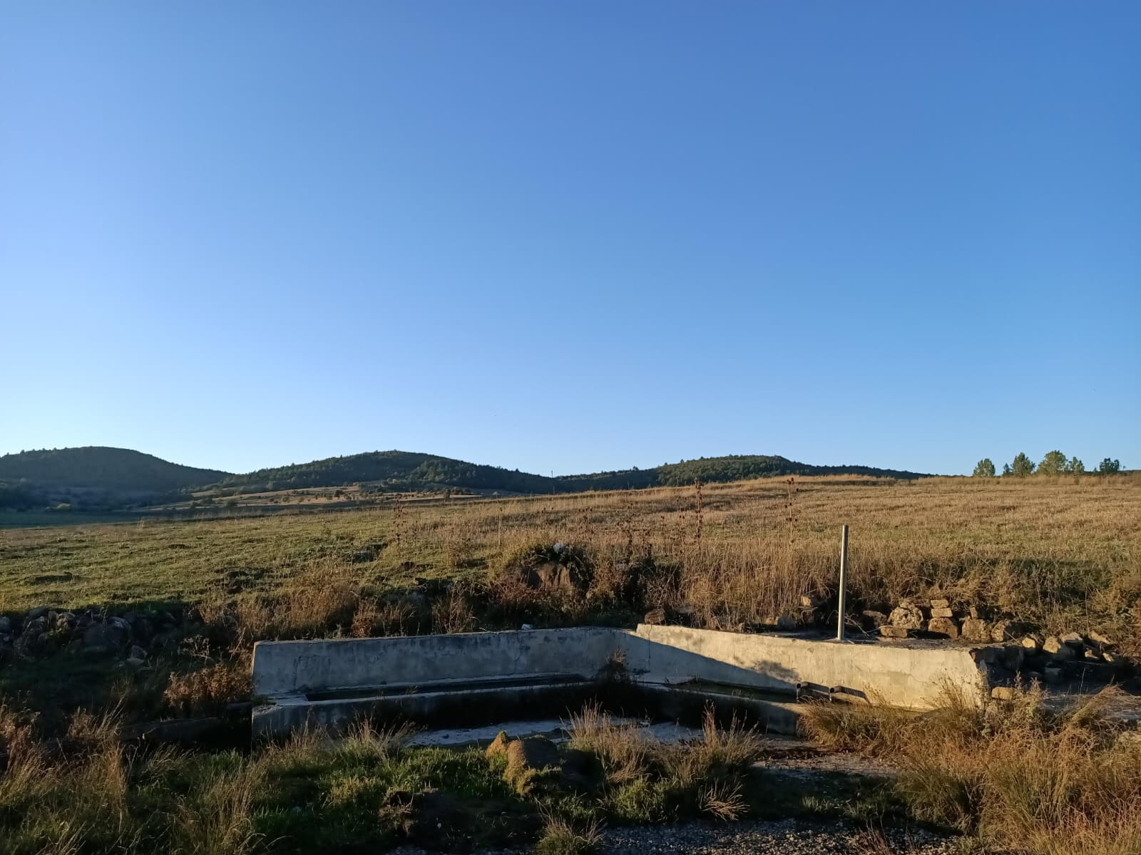 Küfrü